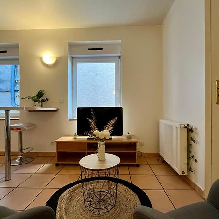 Le Studio Theolier Downtown - Close To Pedestrian Street Tournon-sur-Rhone Εξωτερικό φωτογραφία