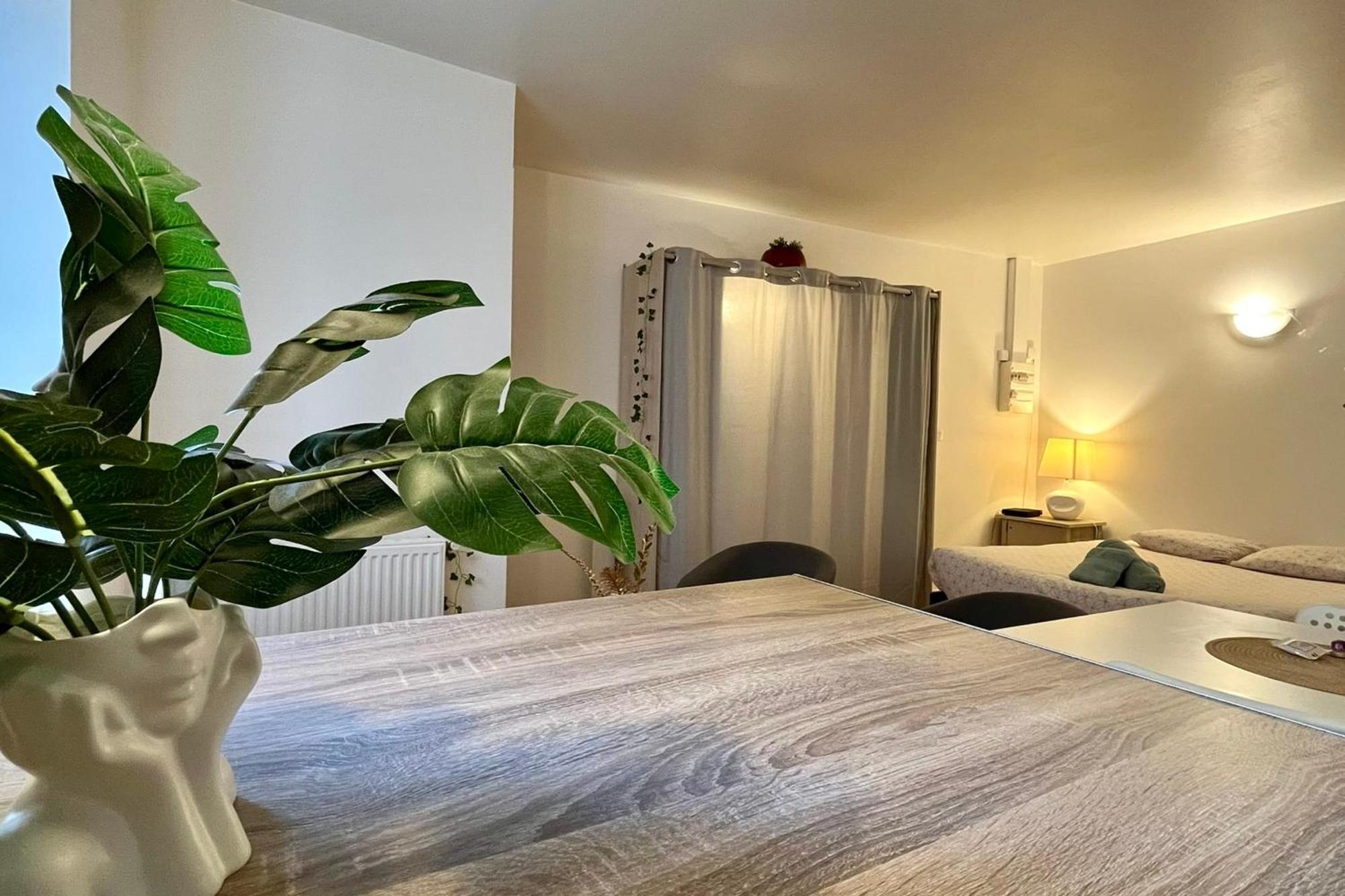 Le Studio Theolier Downtown - Close To Pedestrian Street Tournon-sur-Rhone Εξωτερικό φωτογραφία